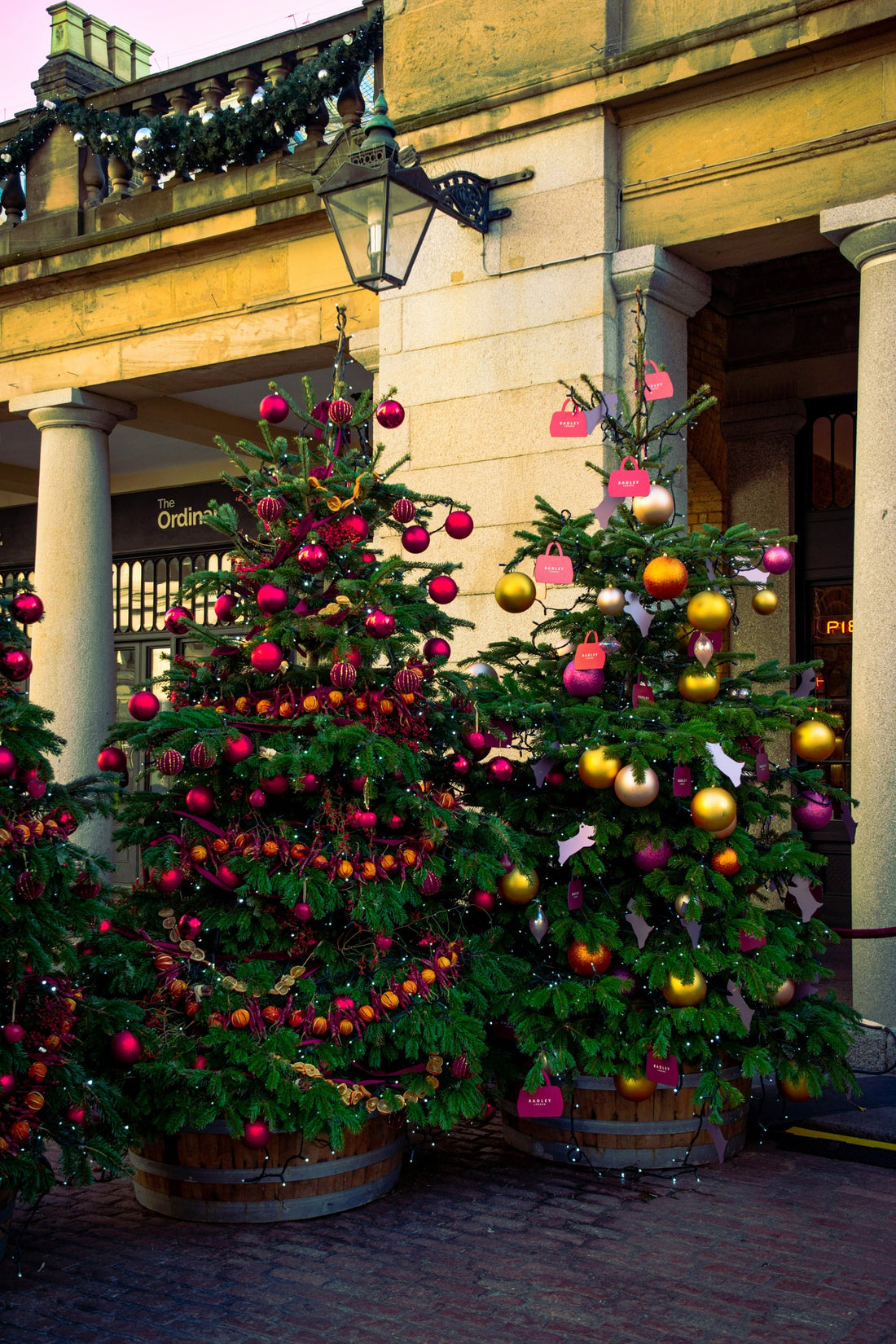 How to Choose the Right Size Real Christmas Tree for Your Home in London