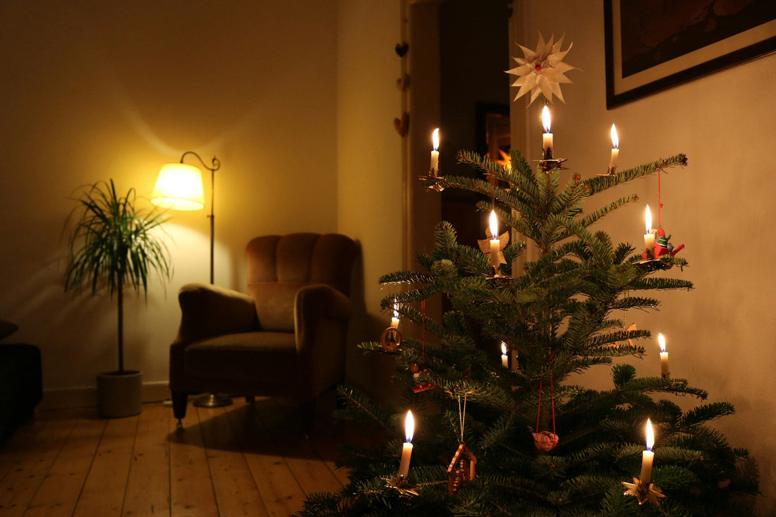 How to Choose the Right Size Real Christmas Tree for Your Home in London