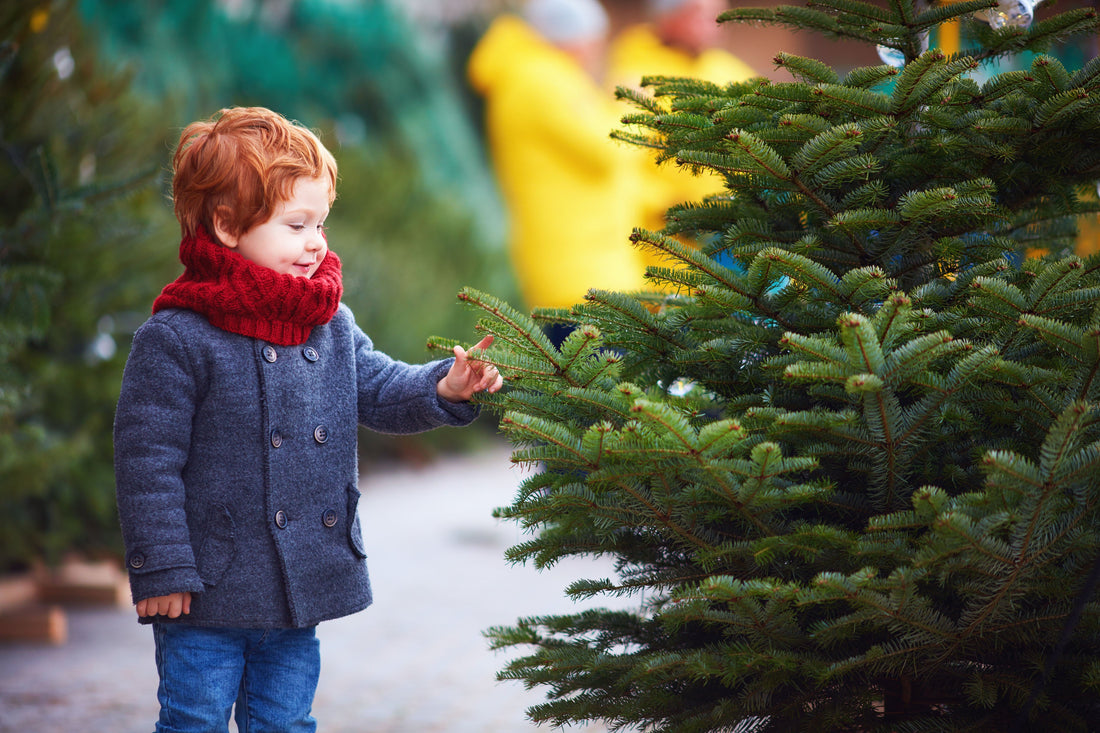 The History of Real Christmas Trees in the UK: A London Perspective