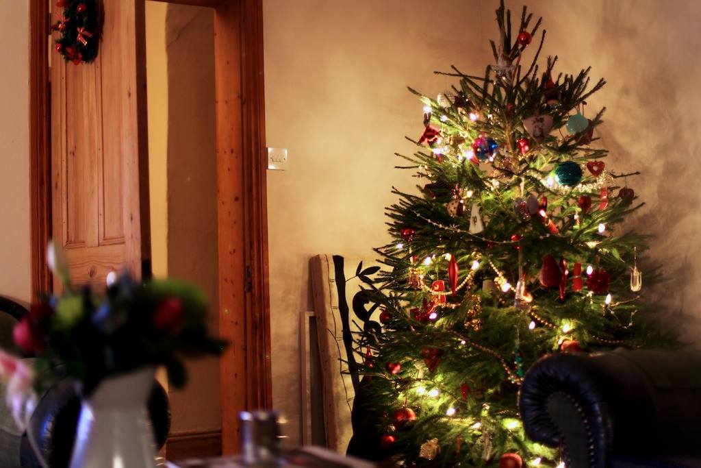 The Fraser Christmas Tree: A Symbol of Tradition and Warmth โ Creekside Christmas