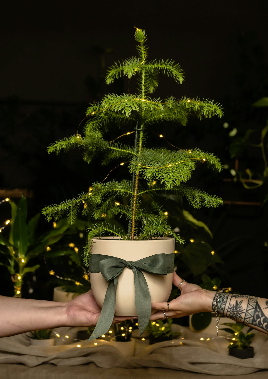 The Debate on Real Christmas Trees: Cutting vs. Pot-Grown