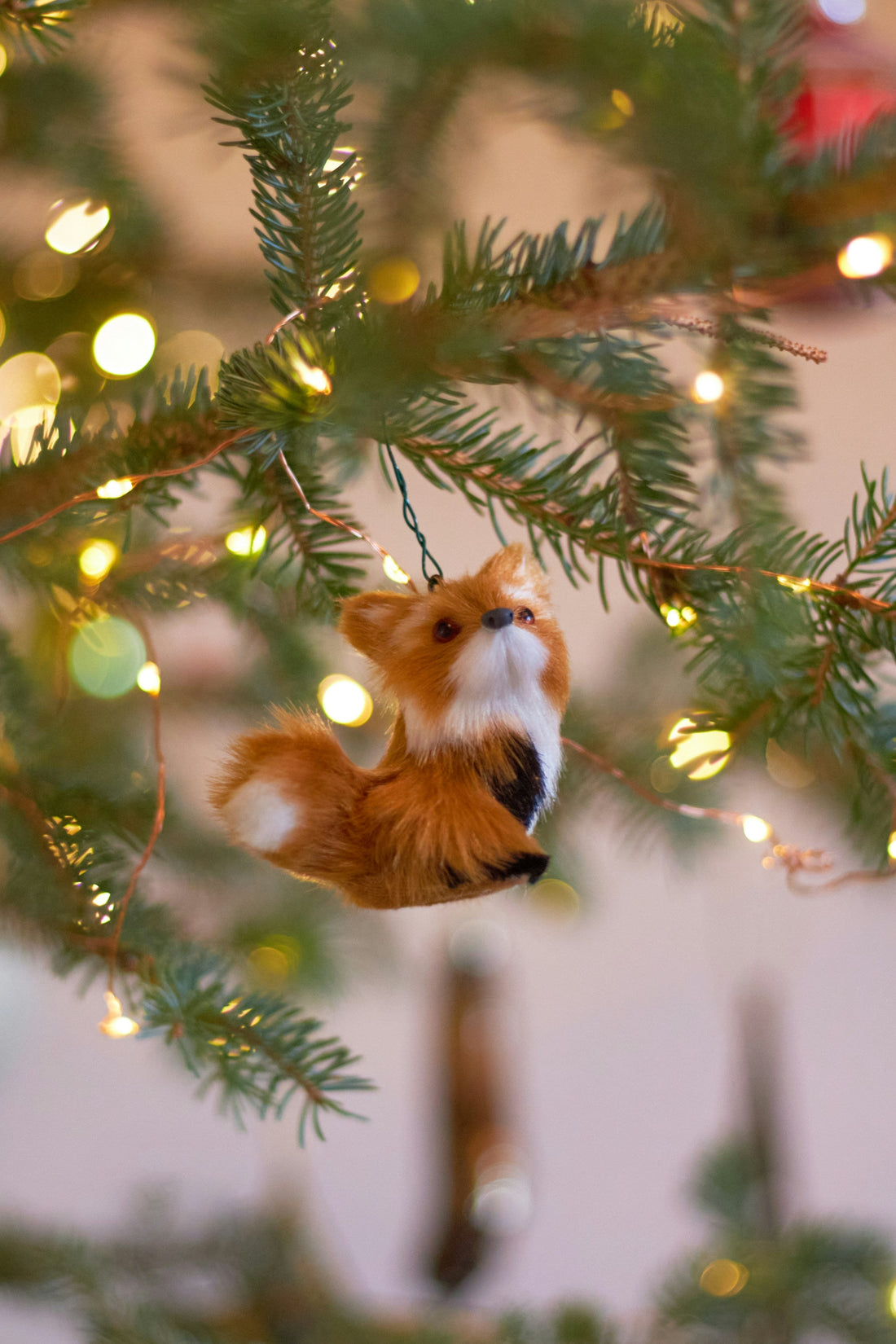 10 Festive Ways to Display Your Real Christmas Tree in Your Home