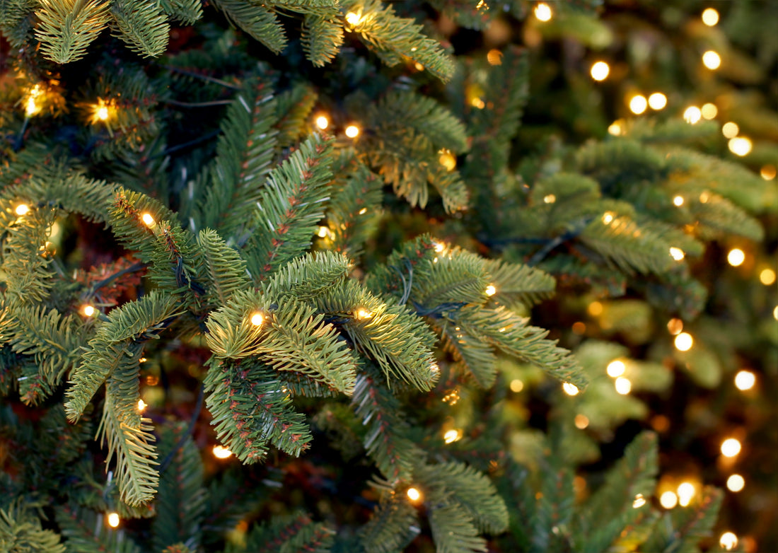 Christmas Tree Lighting Ideas: Beyond the Basics