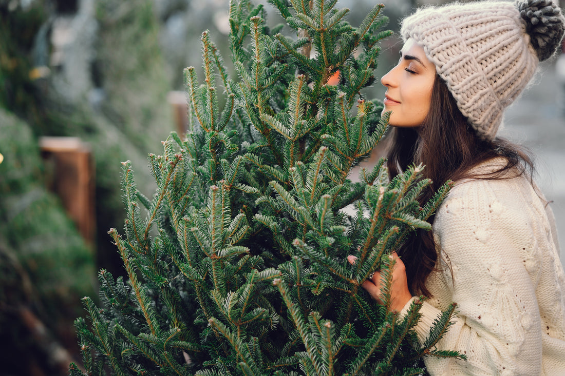 How to Care for Your Real Christmas Tree and Keep it Fresh Throughout the Holidays