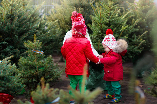 Creating the Perfect Festive Atmosphere with a Real Christmas Tree: A Londoner's Guide